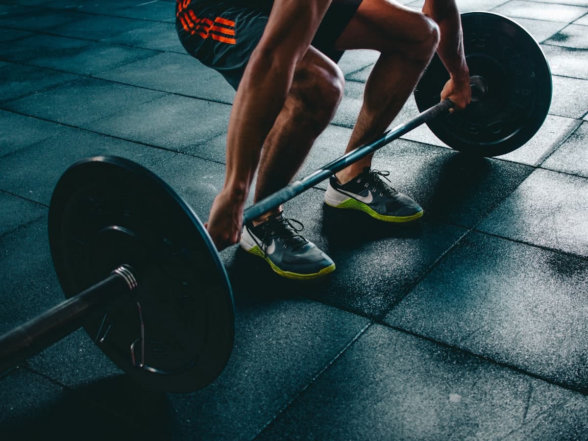A well-equipped strength and functional training floor